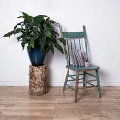 12.3mm Everest Nepal Laminate Flooring 19.77 Sqft