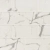 3"x6" Statuario Celano Glass Mosaic Tile 10 PC/9.4 Sq-Ft/Box -Home-Floor 1070096 1