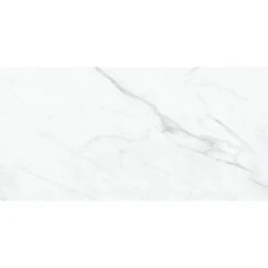 12"x24" Altezza Porcelain Tile 15.5 Sq-Ft/Box