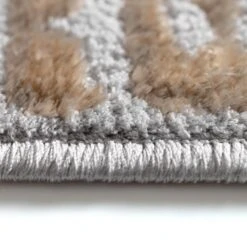 Home-Floor -Home-Floor 1432359 2